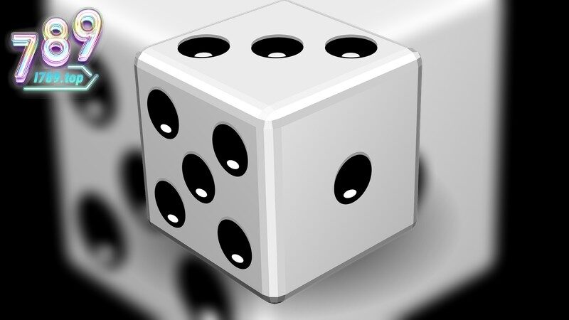 Lý Do Nên Tham Gia Đấu Trường Rồng Hổ